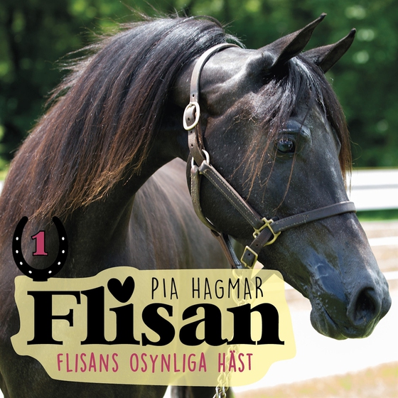 Flisan 1 - Flisans osynliga häst
