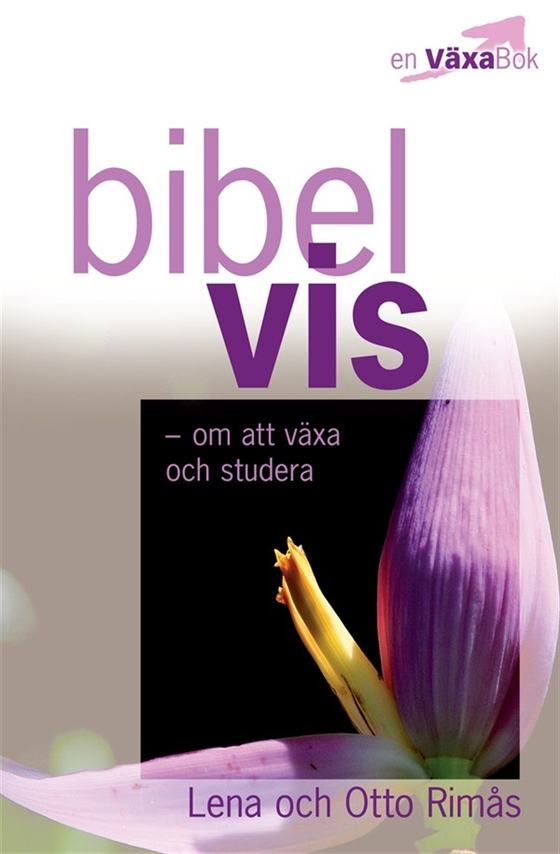 Bibelvis - om att växa och studera