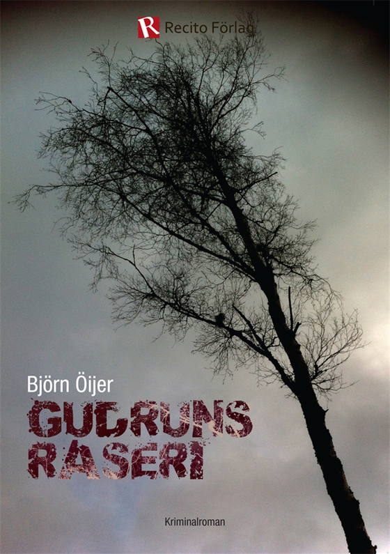 Gudruns raseri (e-bok) av Björn Öijer