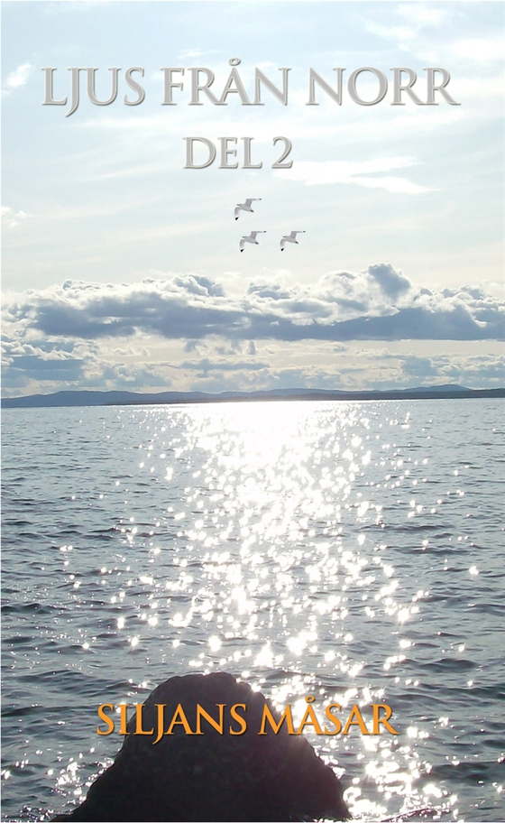 Ljus från Norr - del 2
