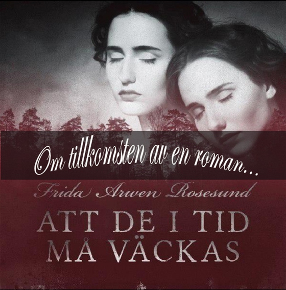 Att de i tid må väckas - om tillkomsten av en roman