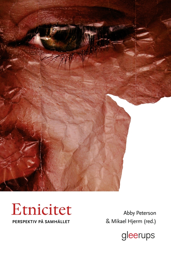 Etnicitet : Perspektiv på samhället