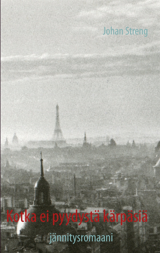 Kotka ei pyydystä kärpäsiä: Jännitysromaani