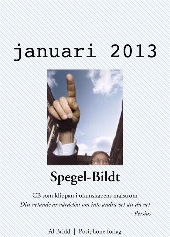 Spegel-Bildt, januari 2013. CB som klippan i okunskapens malström.