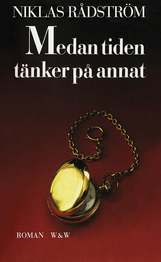 Medan tiden tänker på annat (e-bok) av Niklas Rådström