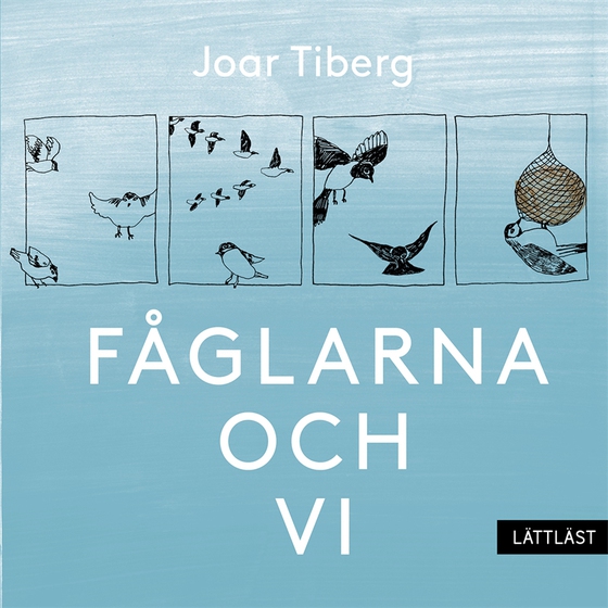 Fåglarna och vi (lättläst)