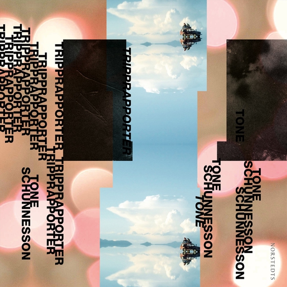 Tripprapporter (ljudbok) av Tone Schunnesson