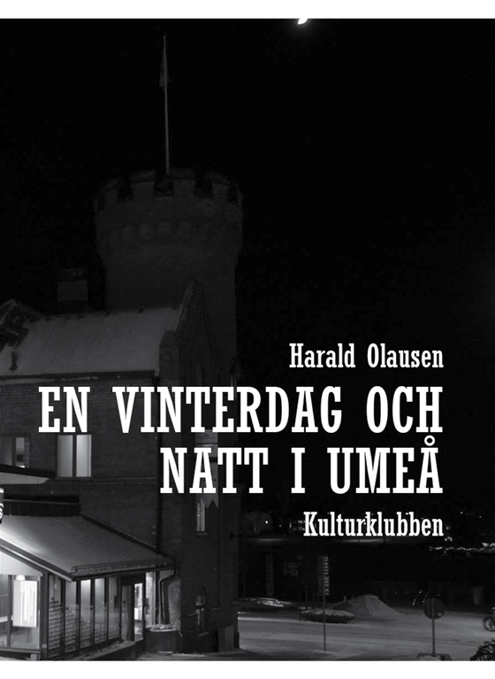 En vinterdag och  natt i umeå