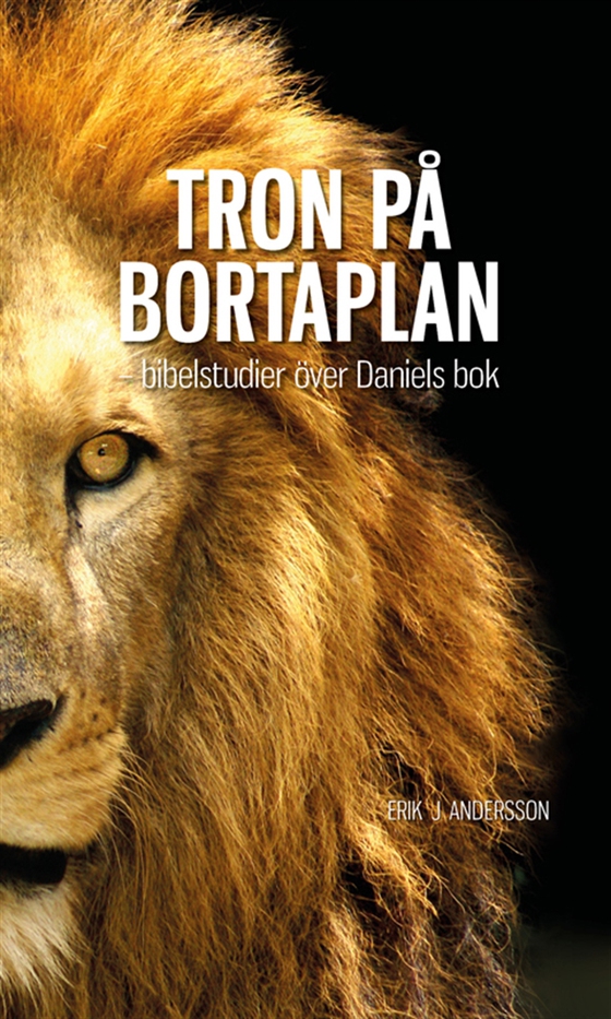 TRON PÅ BORTAPLAN - Bibelstudier över Daniels bok