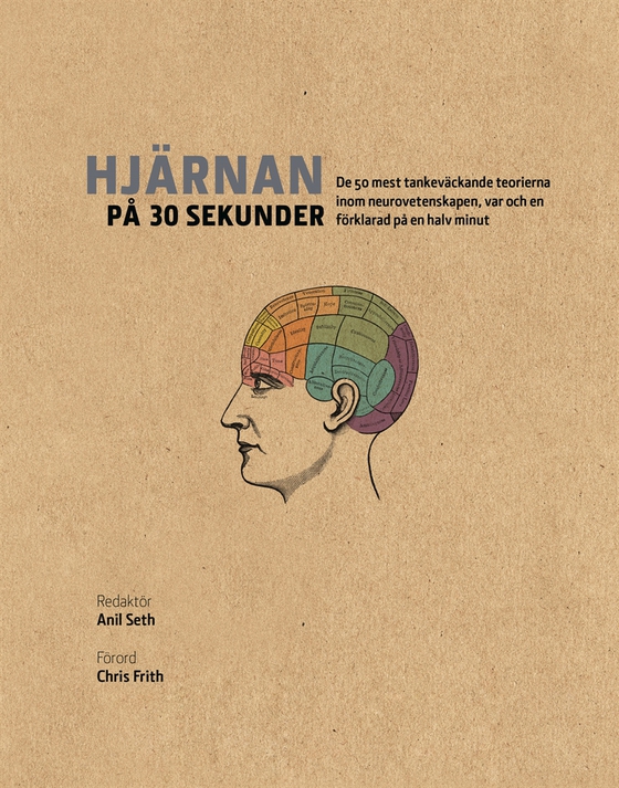 Hjärnan på 30 sekunder