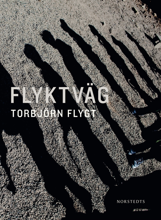 Flyktväg (e-bok) av Torbjörn Flygt