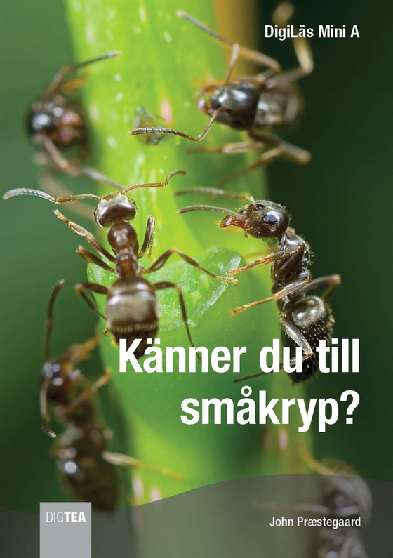 Känner du till smådjur?