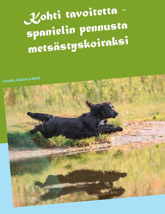 Kohti tavoitetta: Spanielin pennusta metsästyskoiraksi