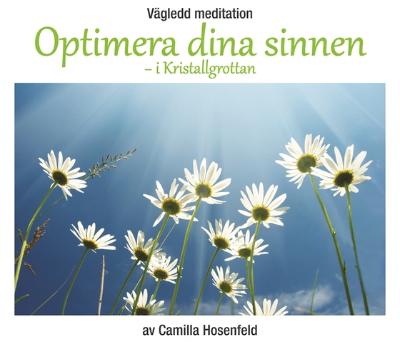Vägledd meditation: Optimera dina sinnen