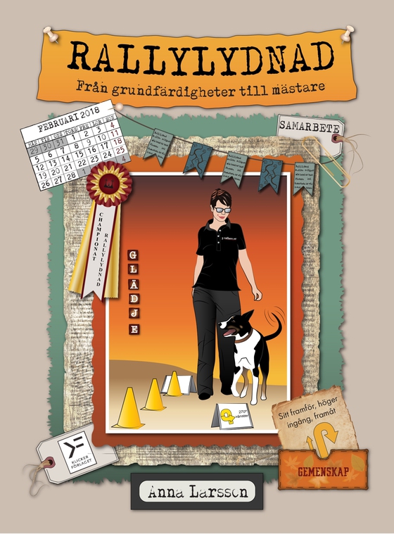 Rallylydnad - från grundfärdigheter till mästare