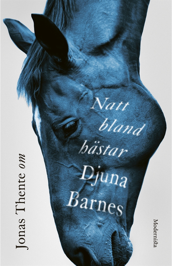 Om Natt bland hästar av Djuna Barnes