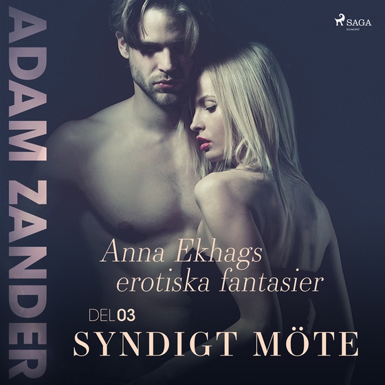 Syndigt möte – Anna Ekhags erotiska fantasier del 3