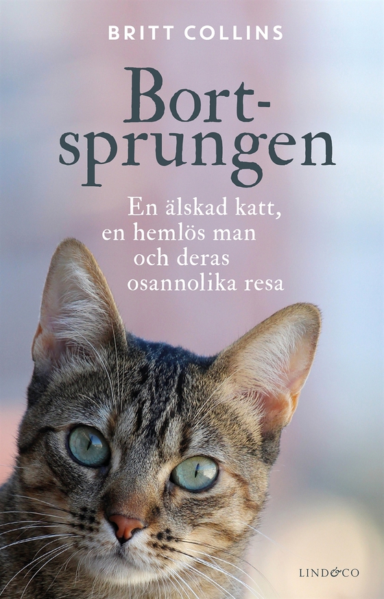 Bortsprungen : en älskad katt, en hemlös man och deras osannolika resa (e-bok) av Britt Collins