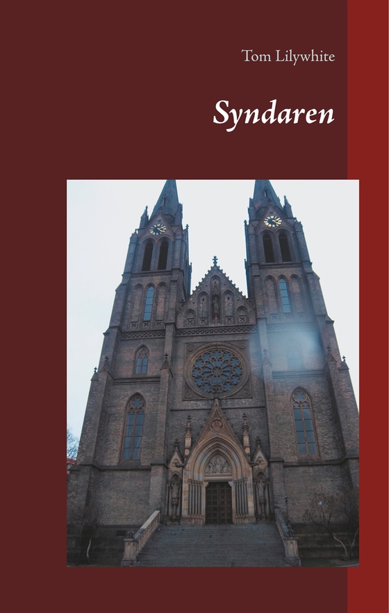 Syndaren (e-bok) av Tom Lilywhite