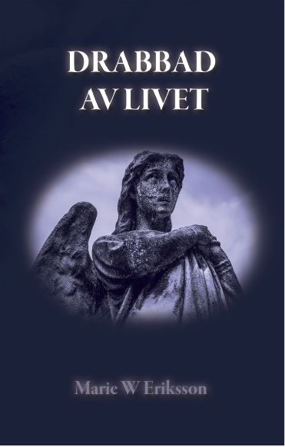 Drabbad av livet (e-bok) av Marie W Eriksson