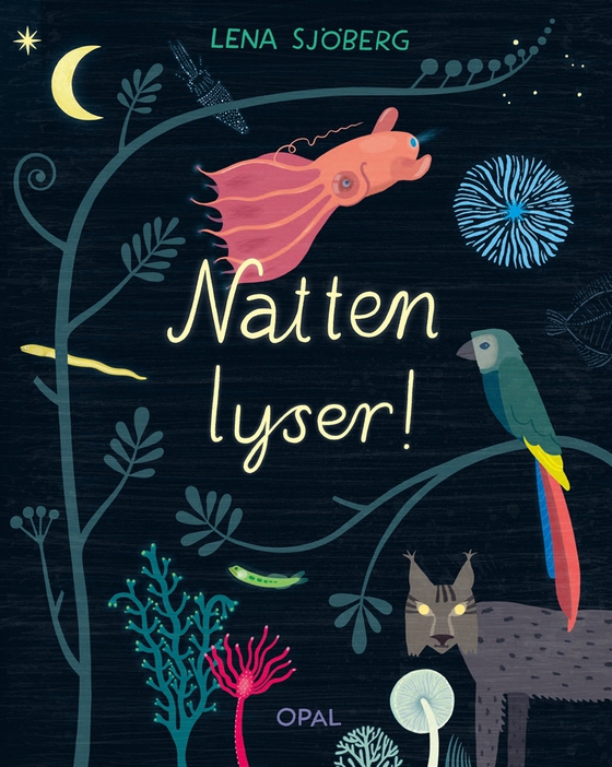 Natten lyser