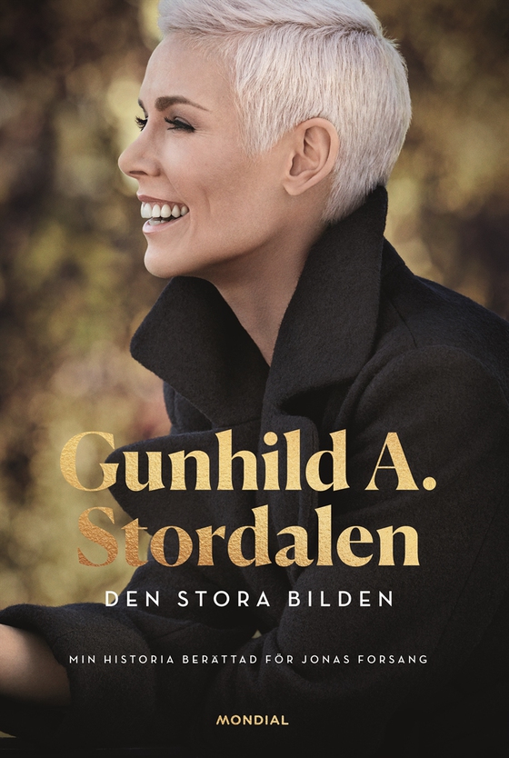 Den stora bilden