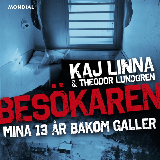 Besökaren : mina 13 år bakom galler