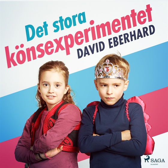 Det stora könsexperimentet (ljudbok) av David Eberhard
