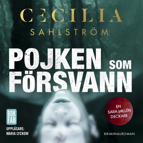 Pojken som försvann
