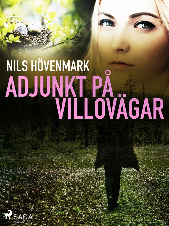 Adjunkt på villovägar