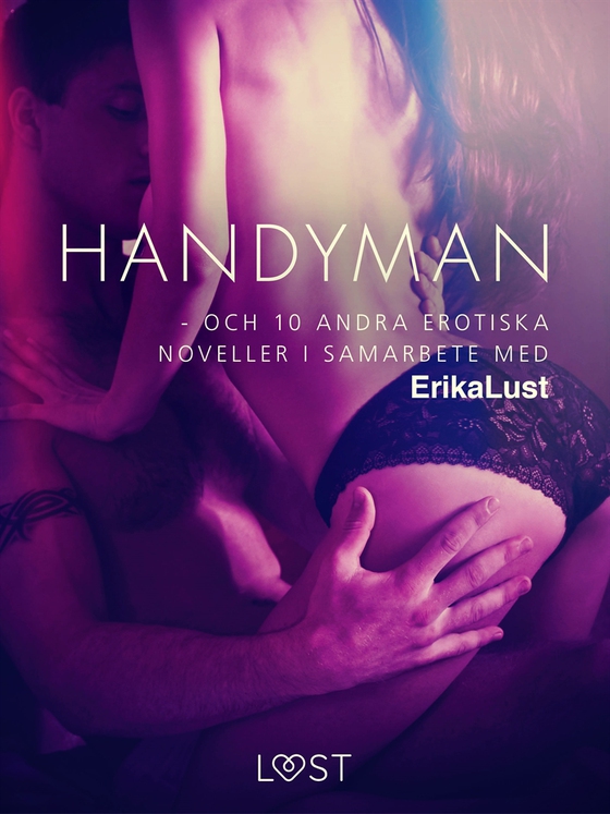 Handyman - och 10 andra erotiska noveller i samarbete med Erika Lust (e-bok) av Forfattere Diverse