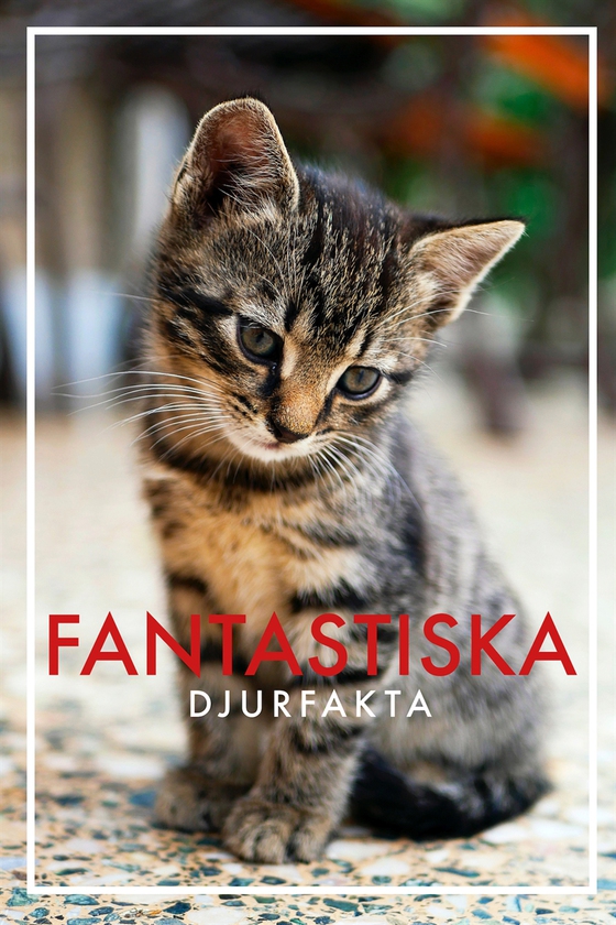 Fantastiska djurfakta (Epub2)