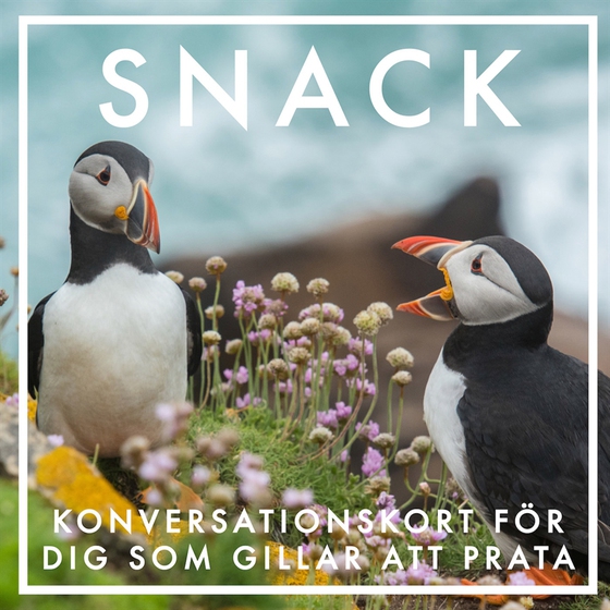 SNACK : Konversationskort för dig som gillar att prata (Epub2)