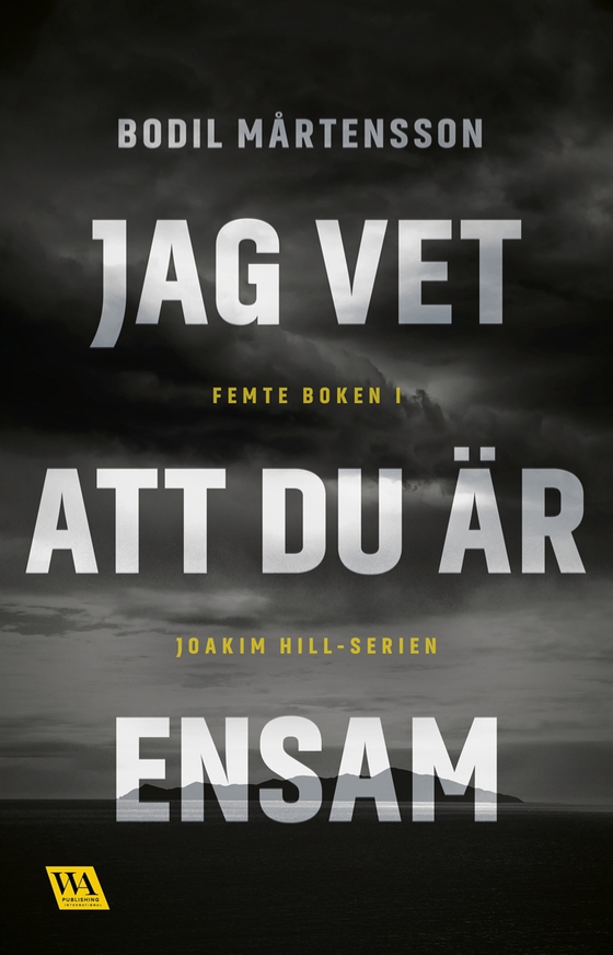 Jag vet att du är ensam (e-bok) av Bodil Mårtensson