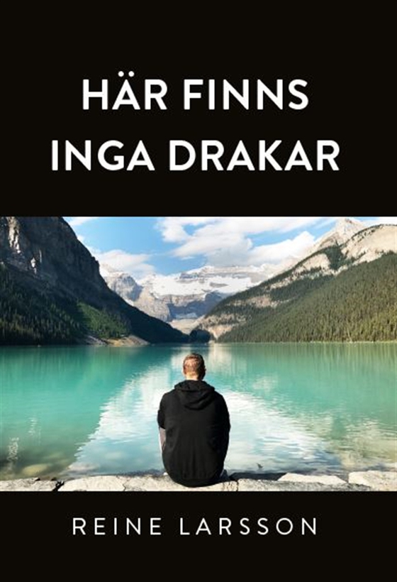 Här finns inga drakar (e-bok) av Reine Larsson