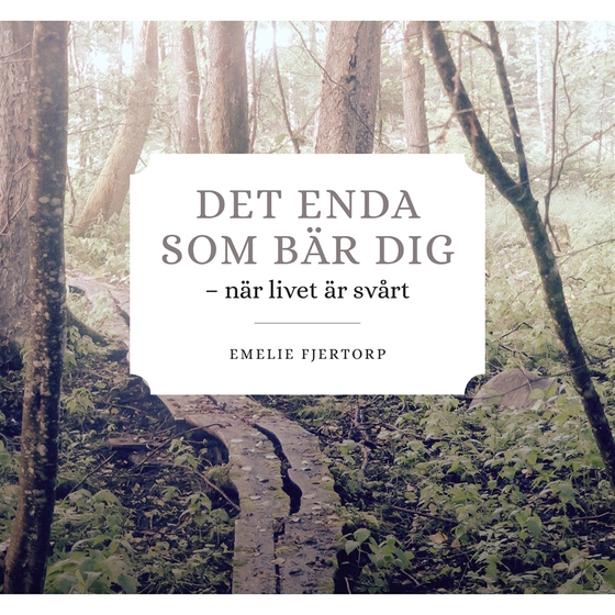 DET ENDA SOM BÄR DIG