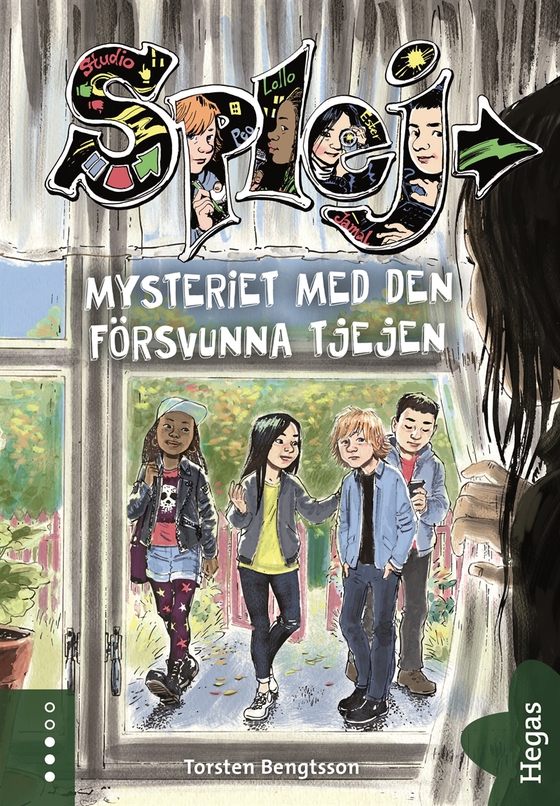 Mysteriet med den försvunna tjejen (e-bok) av Torsten Bengtsson