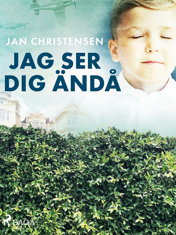 Jag ser dig ändå