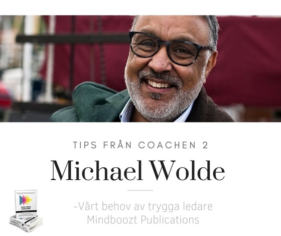 Vårt behov av trygga ledare (ljudbok) av Michael Wolde