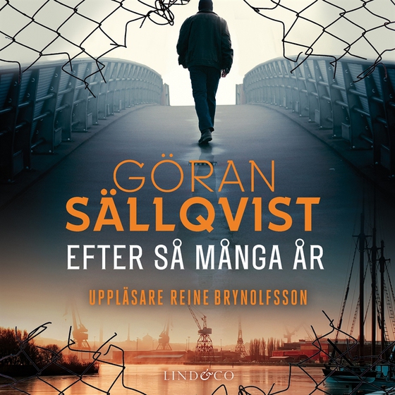 Efter så många år (ljudbok) av Göran Sällqvist