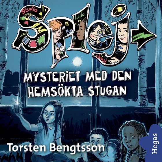 Mysteriet med den hemsökta stugan