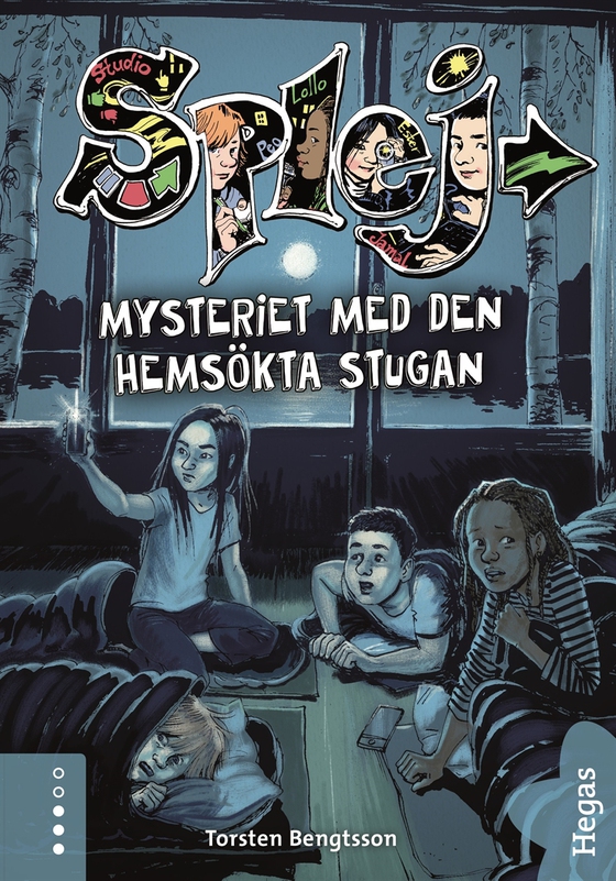 Mysteriet med den hemsökta stugan (e-bok) av Torsten Bengtsson