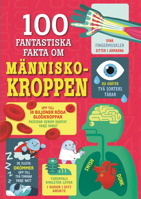 100 fantastiska fakta om människokroppen