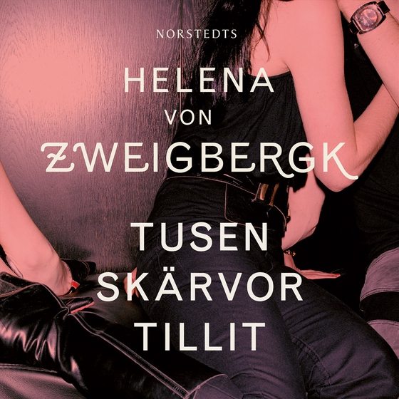 Tusen skärvor tillit (ljudbok) av Helena von Zweigbergk