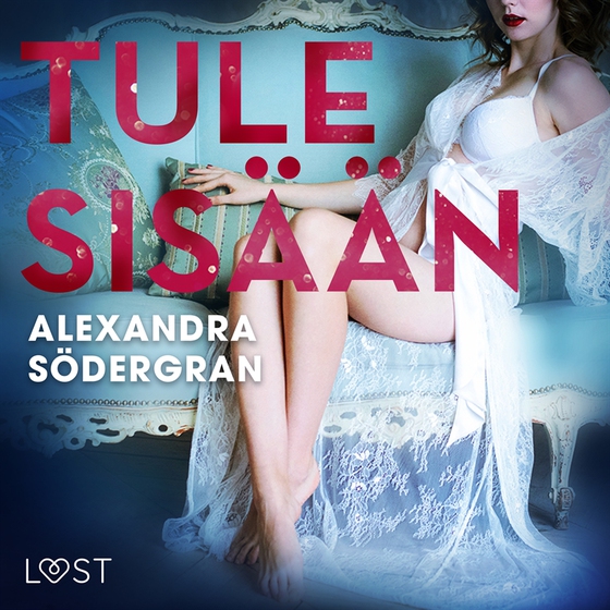 Tule sisään - eroottinen novelli