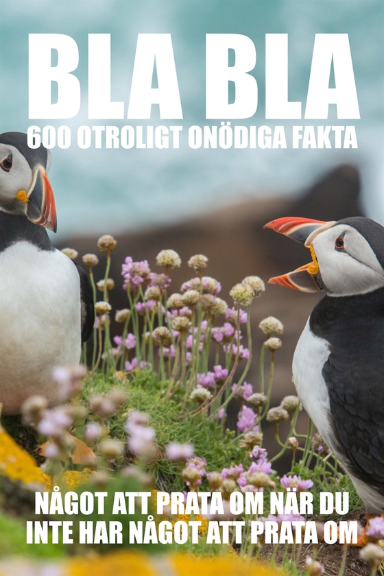 BLA BLA : 600 otroligt onödiga fakta