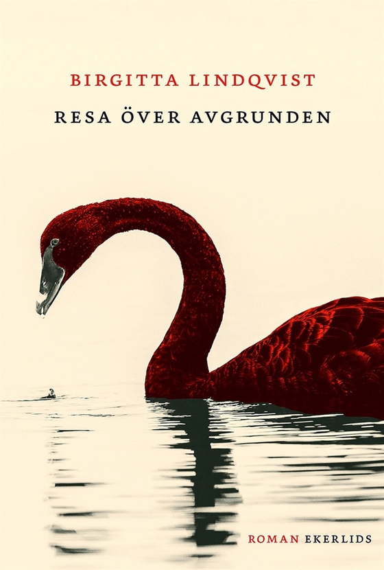 Resa över avgrunden