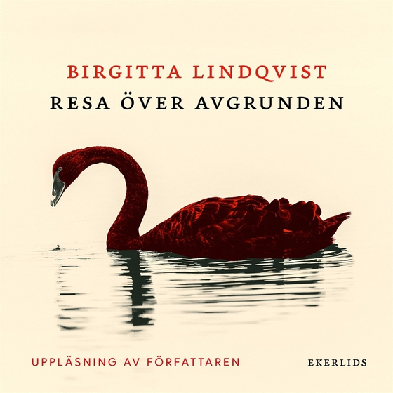 Resa över avgrunden (ljudbok) av Birgitta Lindqvist