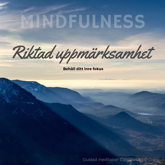 Riktad Uppmärksamhet