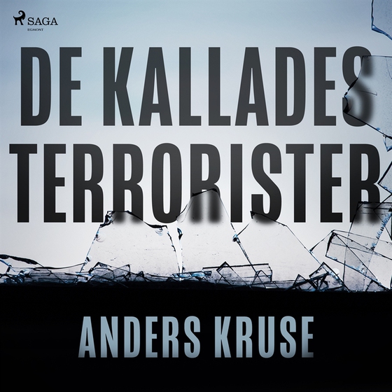 De kallades terrorister (ljudbok) av Anders Kruse